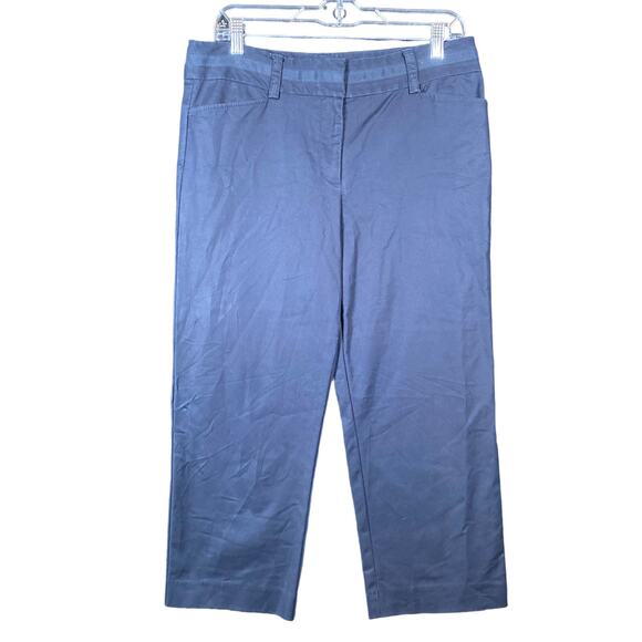 Ann Taylor Womens Pants Blue Signature Lower On Waist Capri Cropped Stretch 8 - Picture 1 of 13
